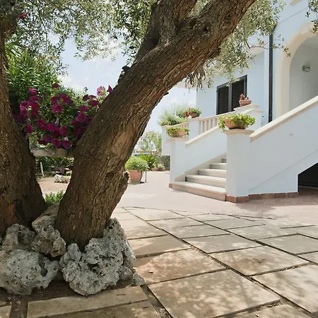 Brezza Di Mare Nocleg ze śniadaniem